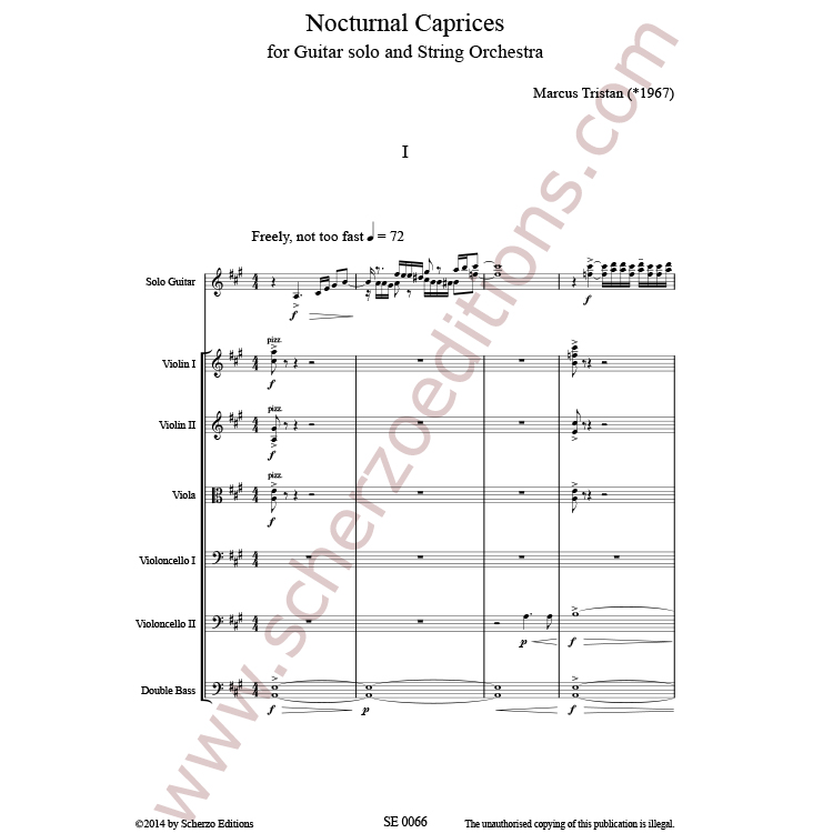 Nocturnal Caprices - Image 2